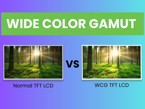 Was ist ein Wide Color Gamut TFT LCD?