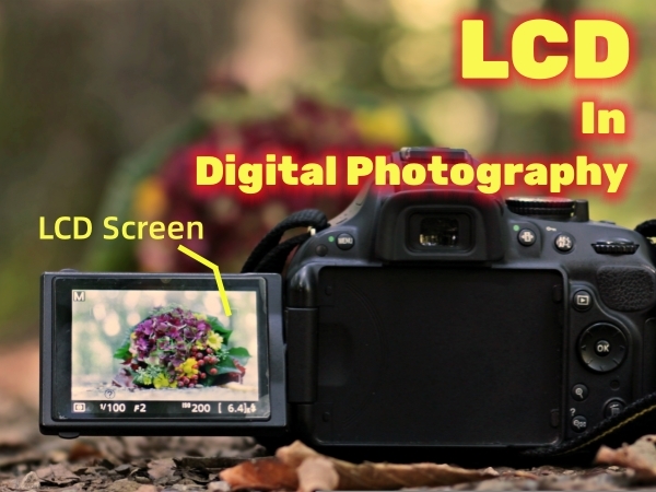 Knowledge - LCD Screens Are Transforming the Landscape of Digital Photography