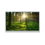 32 inch LCD Display Featured Image