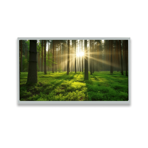 32 inch LCD Display Featured Image
