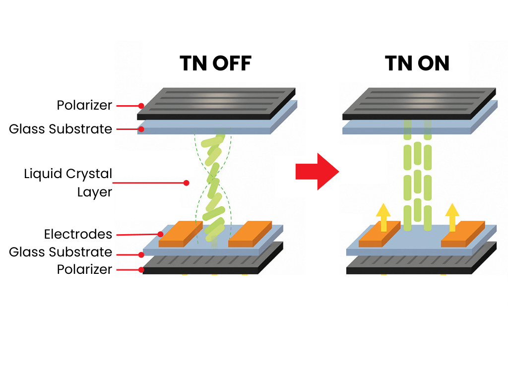 tn lcd 3d structure