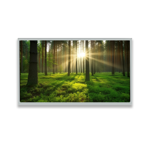 Display w/o Touch Feature Image